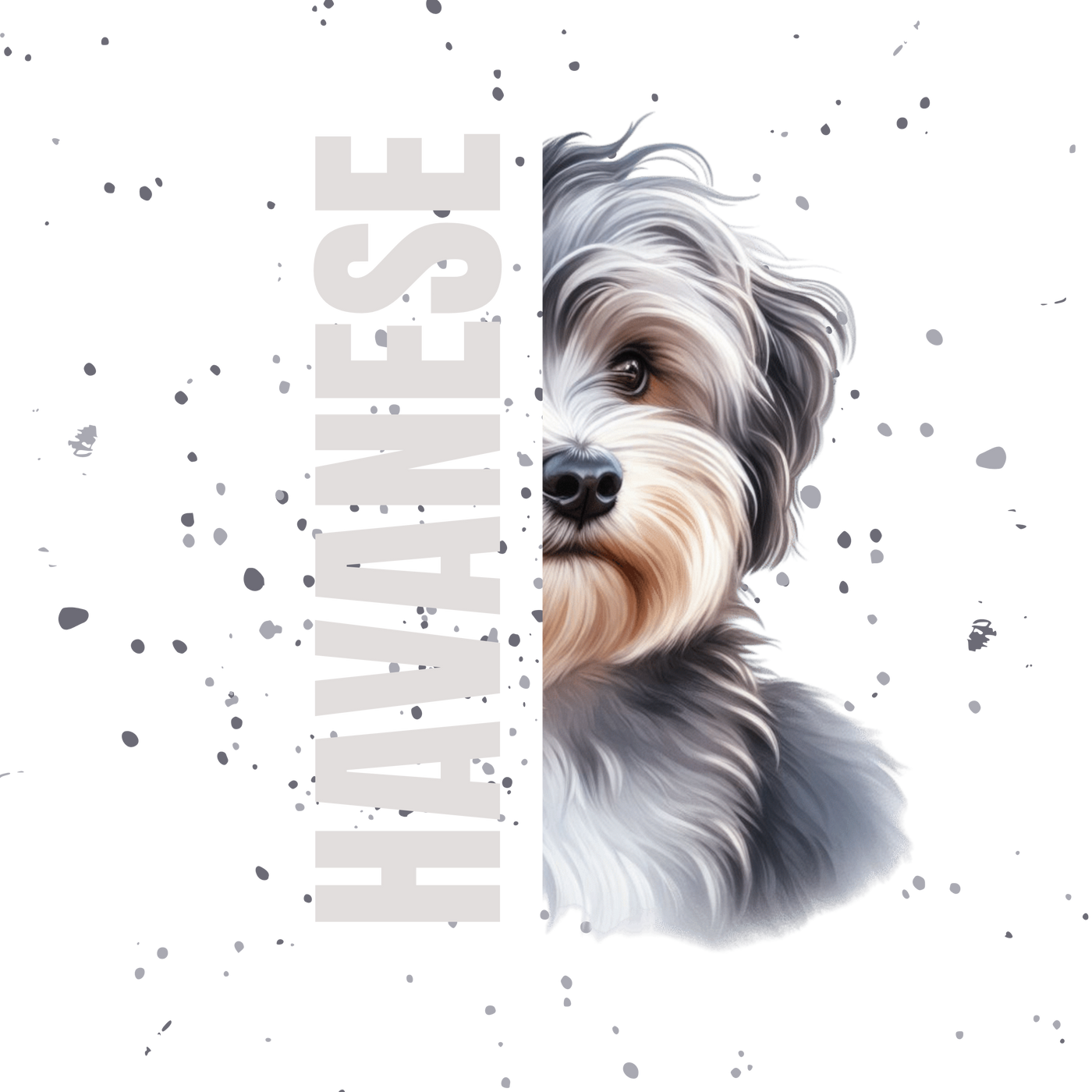 Havanese T-Shirt